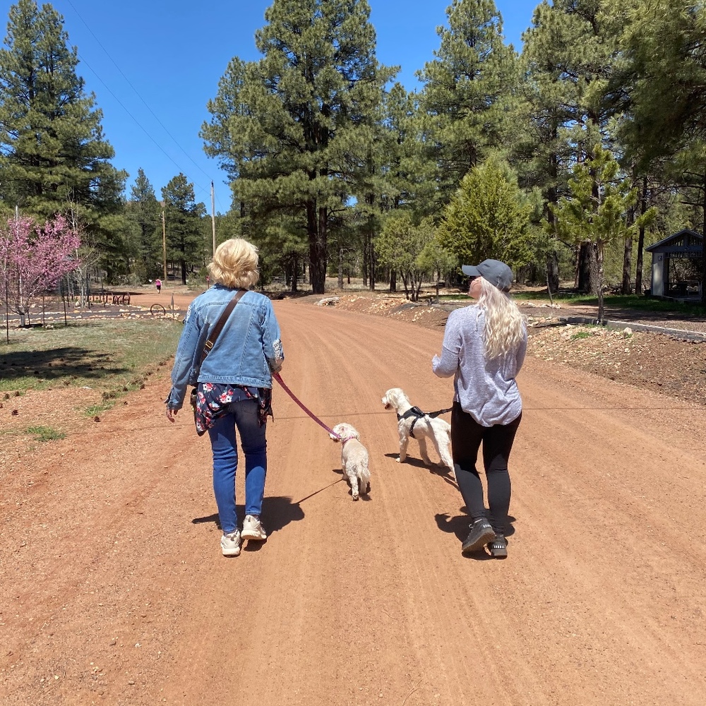 Meet your Posher, Gayla